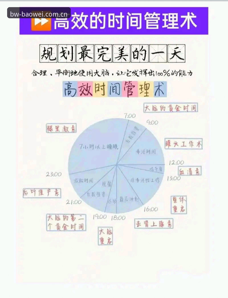 宝威体育平台功能实用指南：从下载到高效使用的必备知识